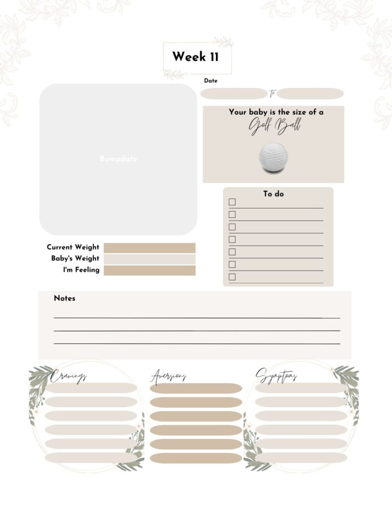 Weekly bump update journal page. 