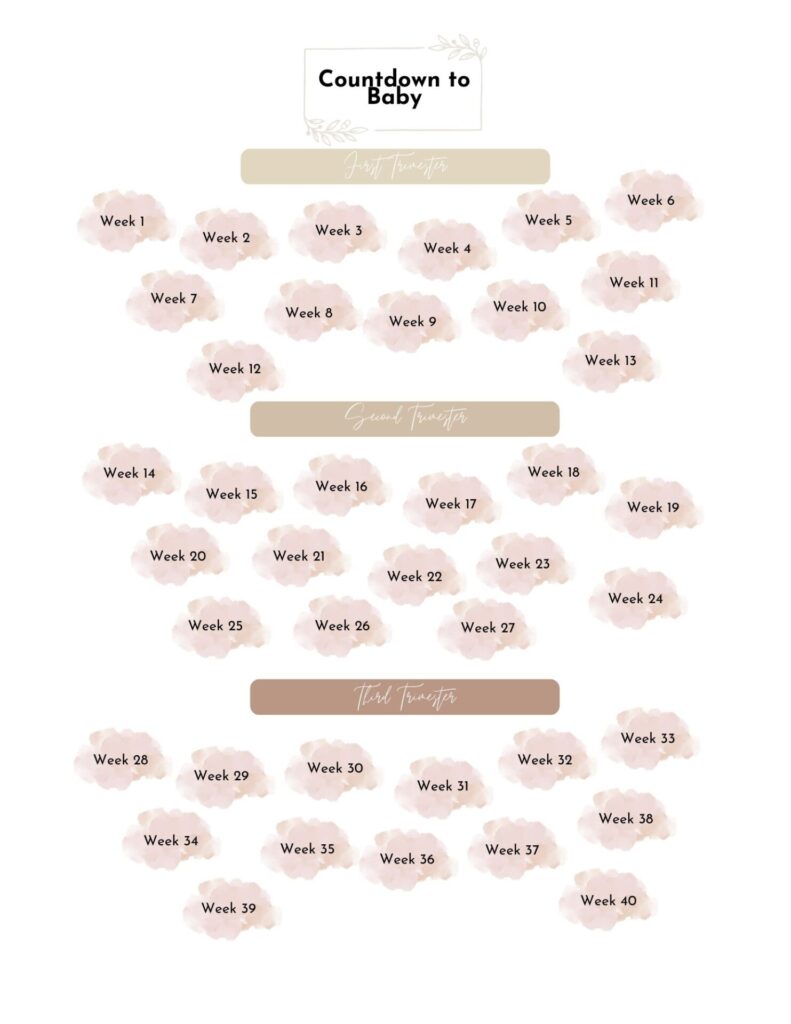 Pregnancy countdown page